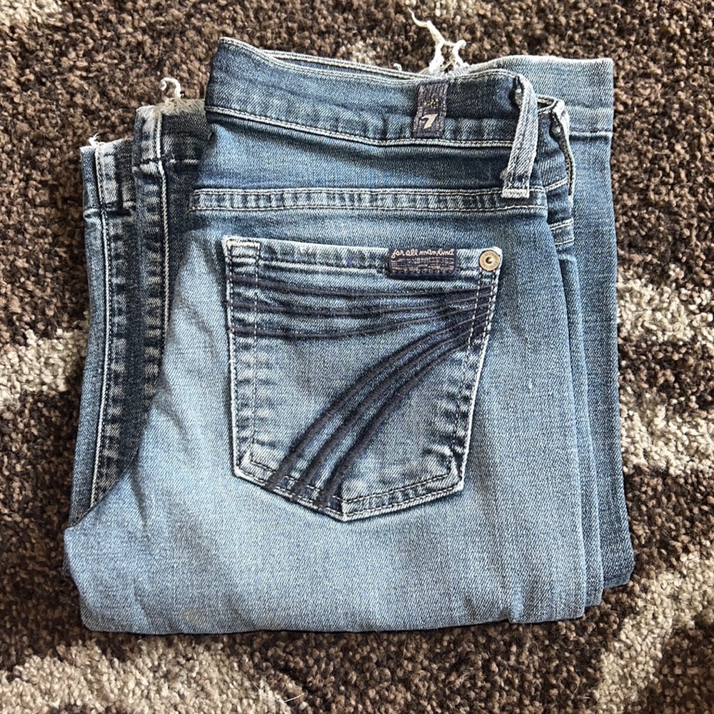 7 For All Mankind 26x32